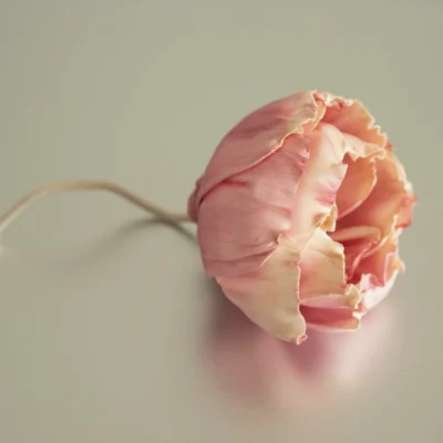 Flower Diffuser Stick