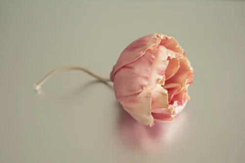 Flower Diffuser Stick