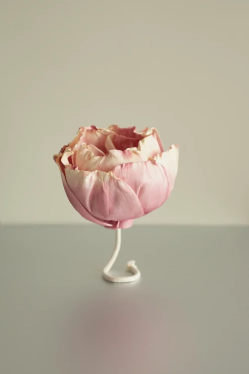 Flower Diffuser Stick