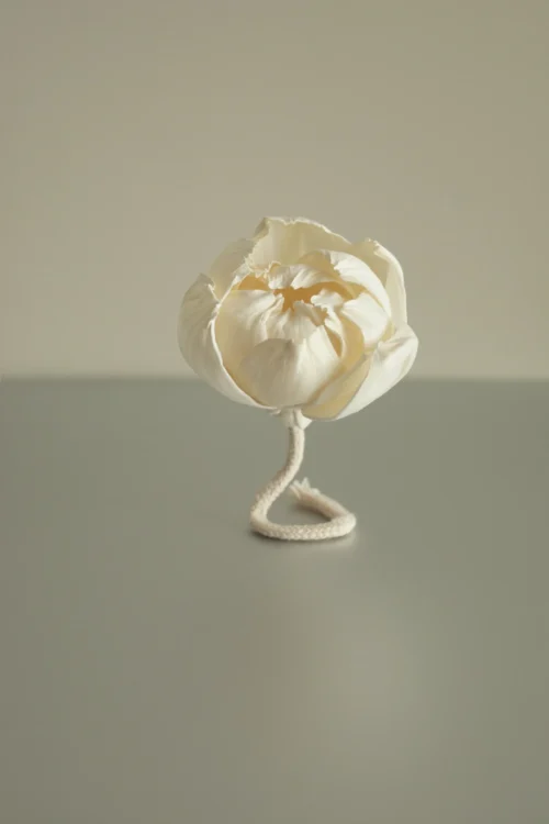 Flower Diffuser Stick