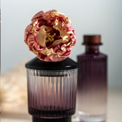Evening Scent