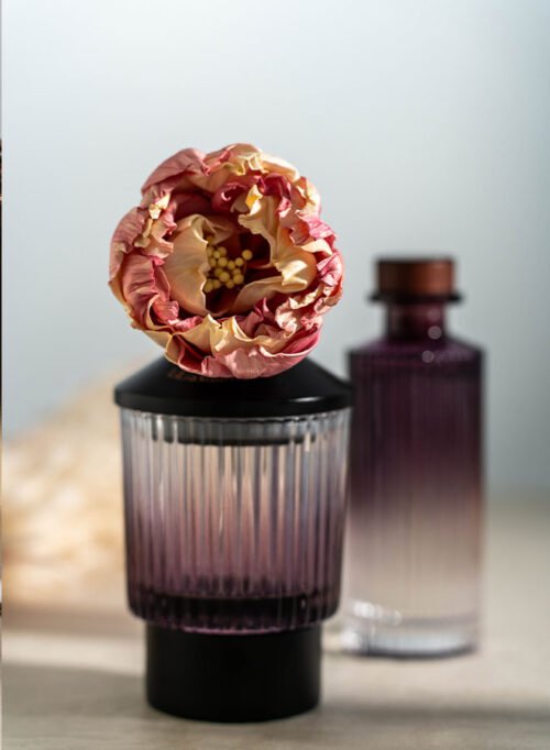 Evening Scent
